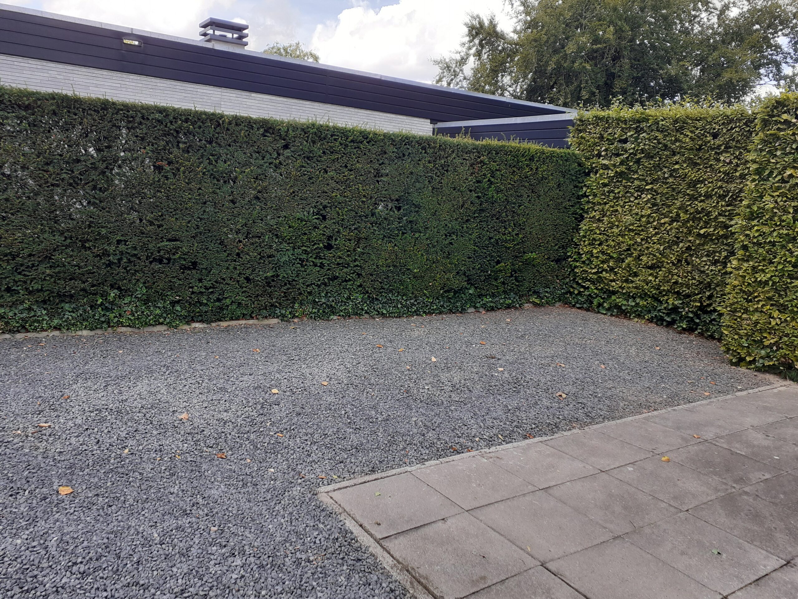 services-03 20250829 122432 Scaled