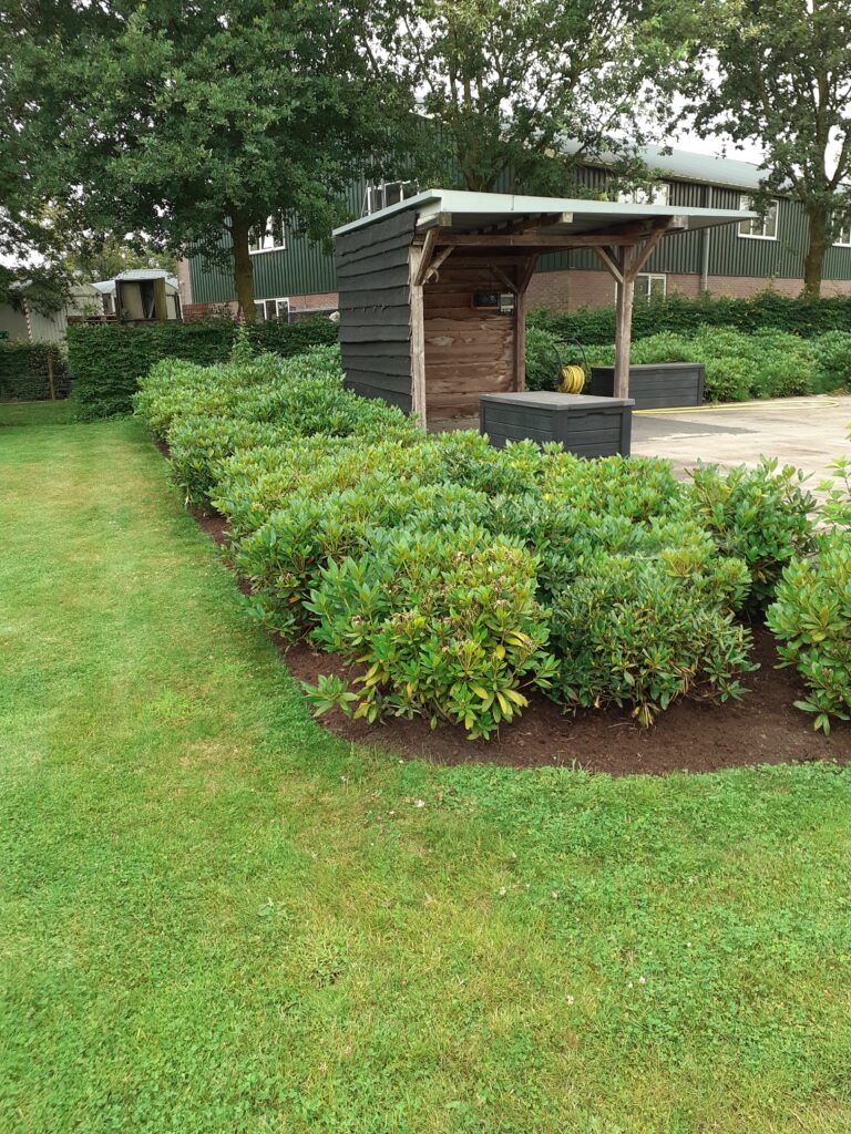 Tuinonderhoud Ede 768x1024