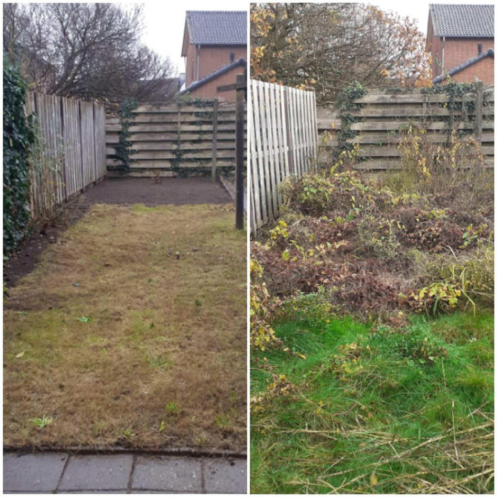 van oerwoud naar tuin in barneveld