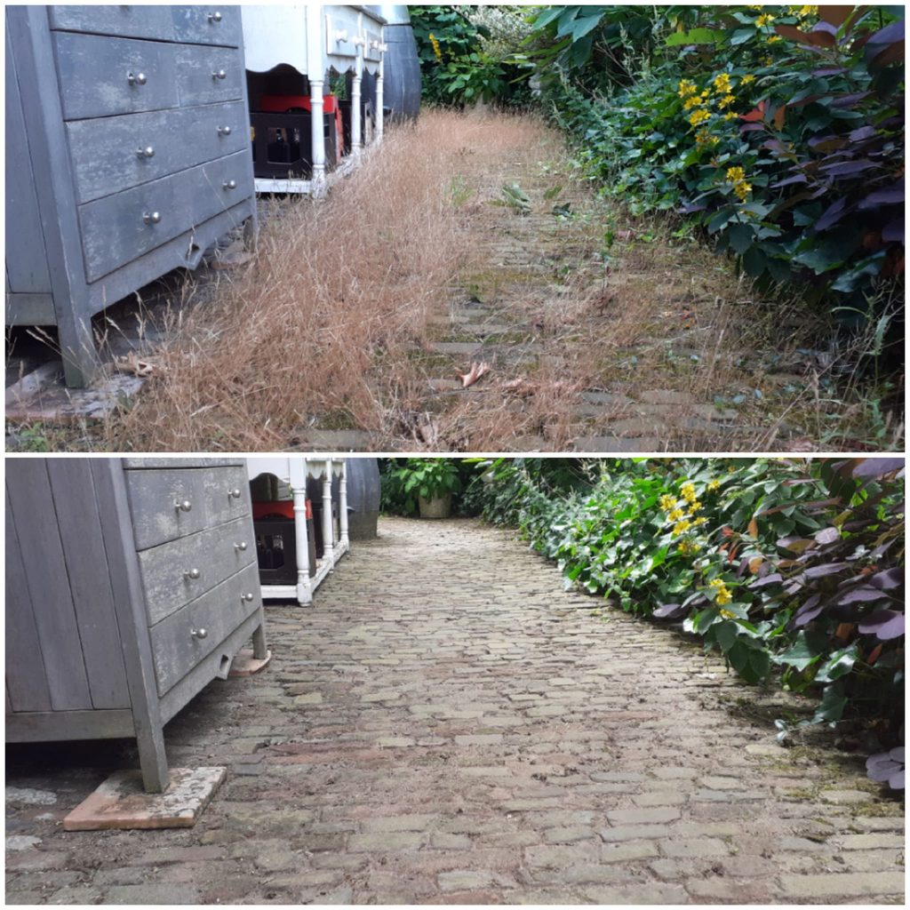 voorbeeld onkruid uit het tegelpad lunteren
